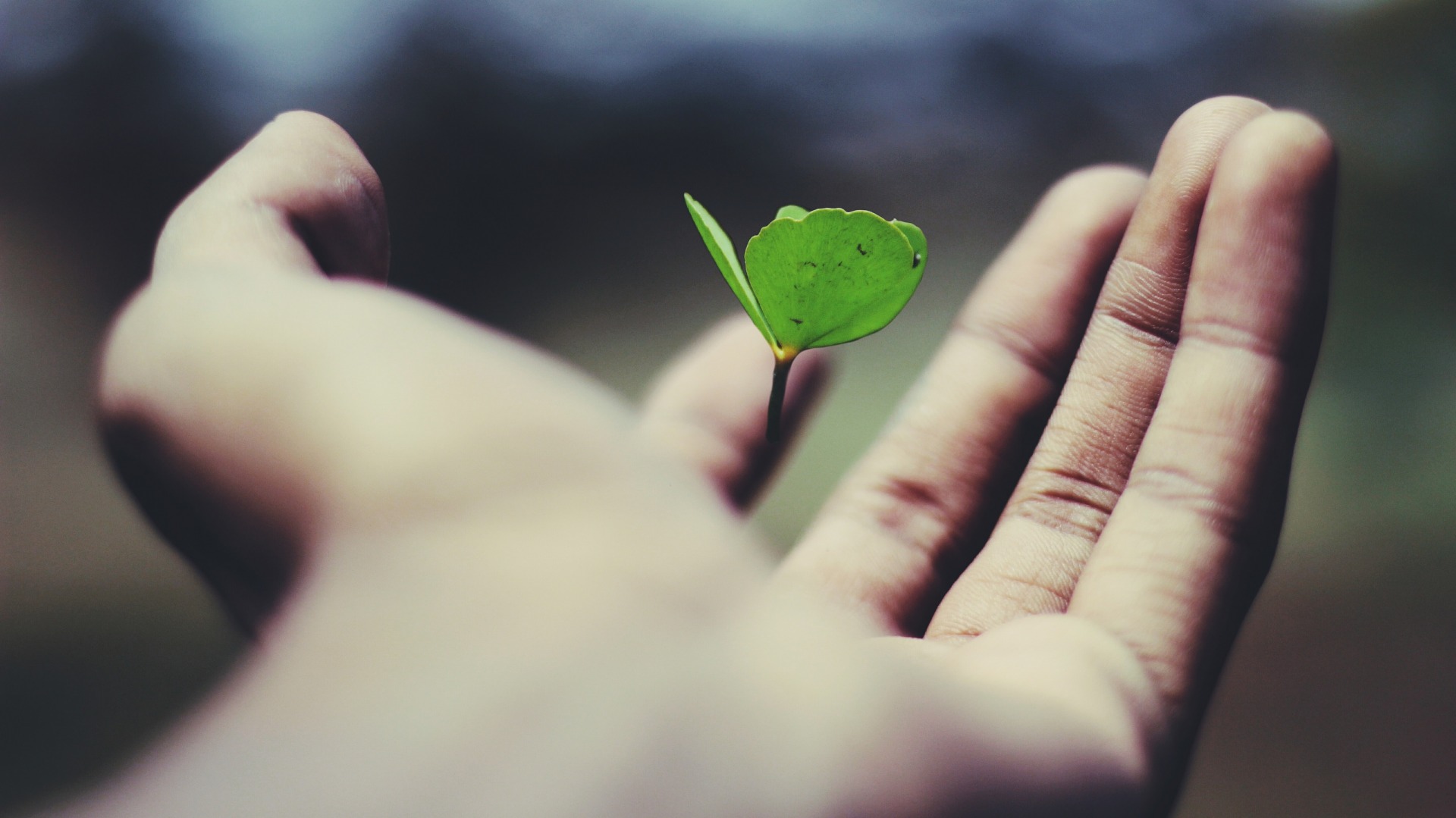 Working for a fast-growing company