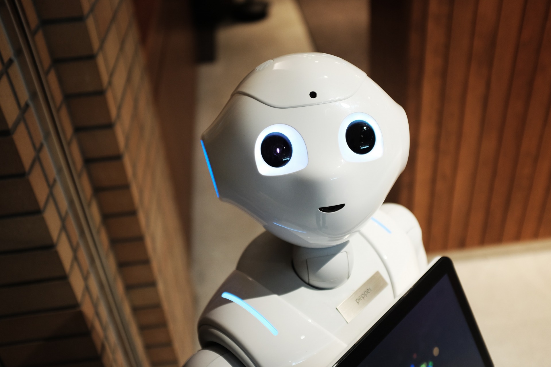 Les emplois du futur : les tendances du marché de l'emploi