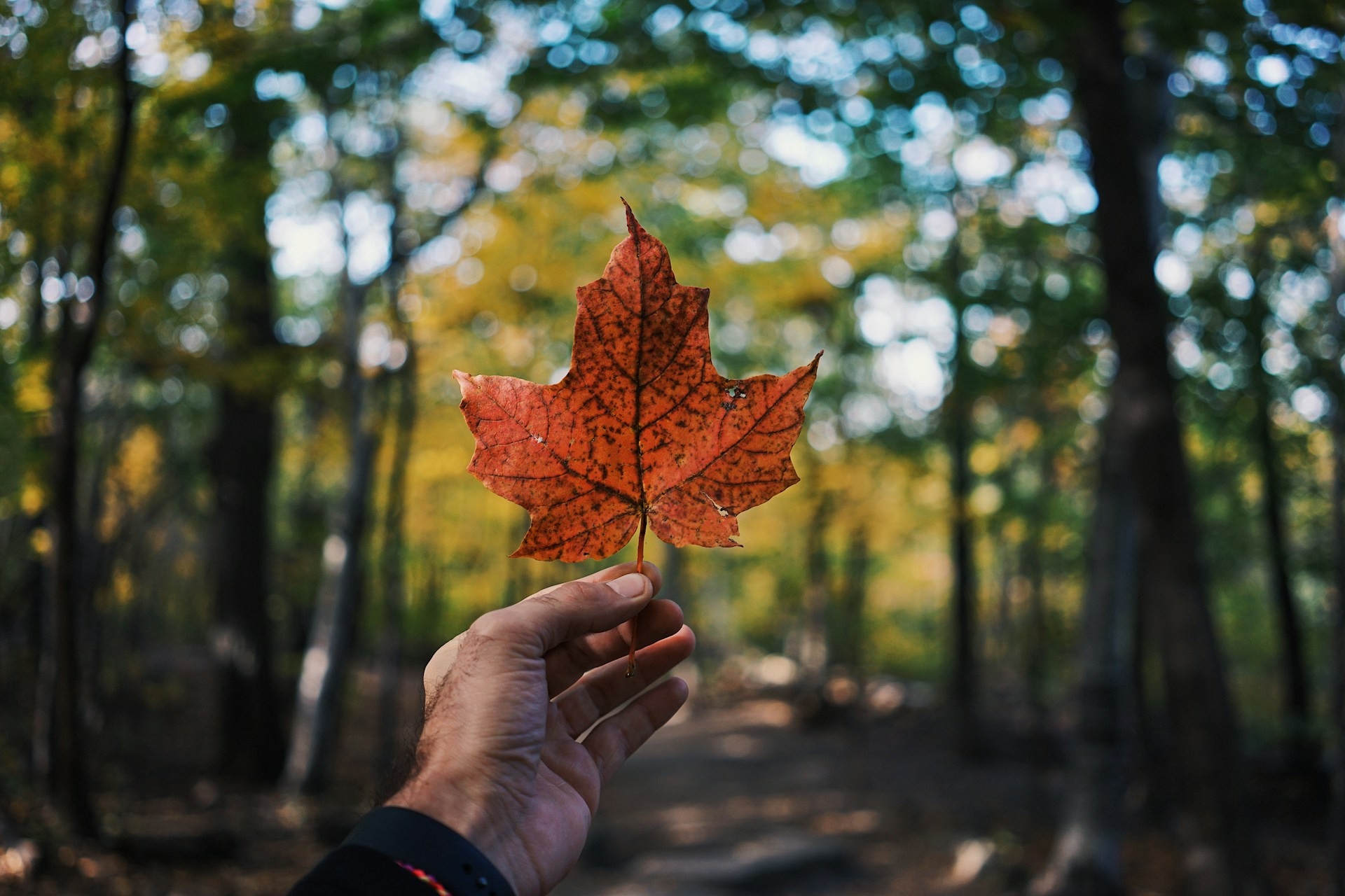 Comment choisir la meilleure province au Canada en 2026 selon son profil de nouvel arrivant